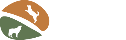DERVA ANIMAL CLINIC